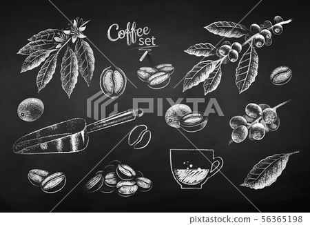 Chalk drawn illustration set of coffee items Chalk drawn illustration set of coffee items 56365198