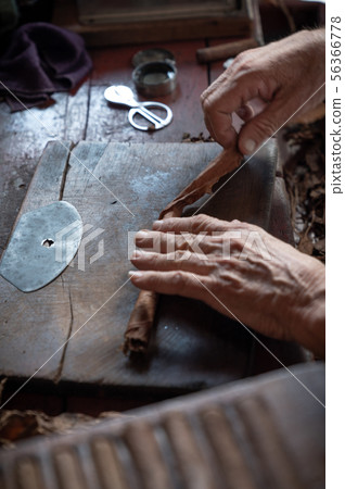 Cigar rolling or making by torcedor in cuba Cigar rolling or making by torcedor in cuba 56366778