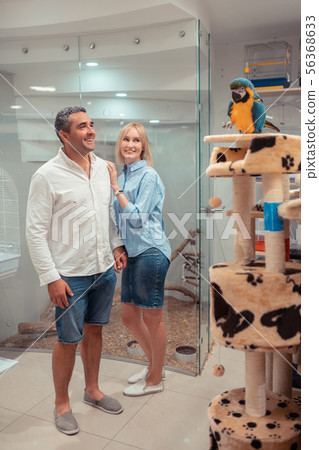 Man standing near wife and smiling while choosing parrot Man standing near wife and smiling while choosing parrot 56368633