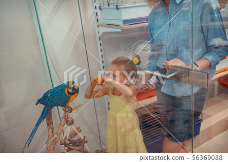 Cute girl wearing yellow dress feeling amazed looking at parrot Cute girl wearing yellow dress feeling amazed looking at parrot 56369088