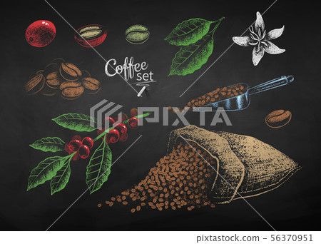 Chalk drawn set of of coffee beans and berries 56370951