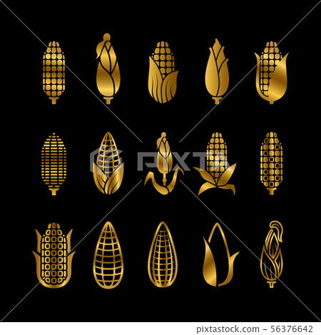 Fresh golden corn harvest vector icons set - Stock Illustration ...