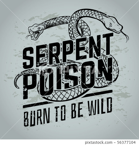 Gothic poster with viper snake. Vintage tattoo or t-shirt vector design 56377104