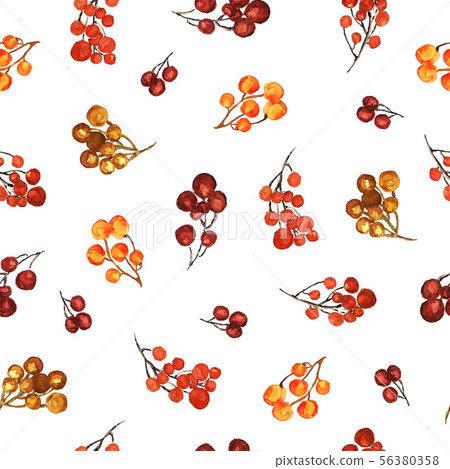 Watercolor berry pattern 56380358