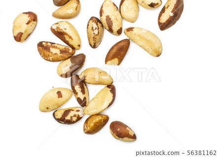 Unshelled brazil nut isolated on white Unshelled brazil nut isolated on white 56381162