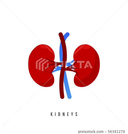 World kidney day card, vector illustration with World kidney day card, vector illustration with 56381278