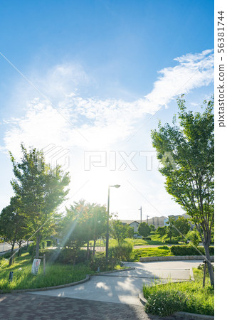 齋藤西區景色 齋藤西區景色 56381744