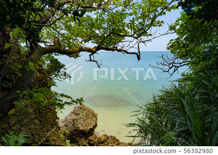 石垣島美麗的風景 石垣島美麗的風景 56382980