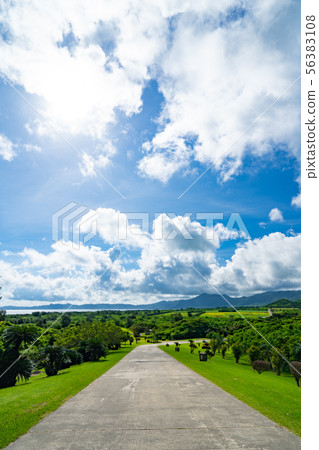 Beautiful scenery of Ishigakijima 56383108