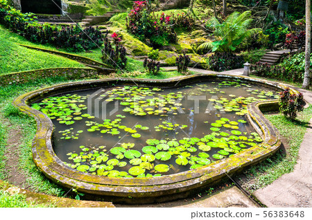 Garden at Goa Gajah temple in Bali, Indonesia 56383648