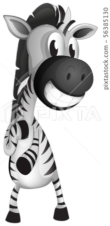 Zebra on white background 56385130