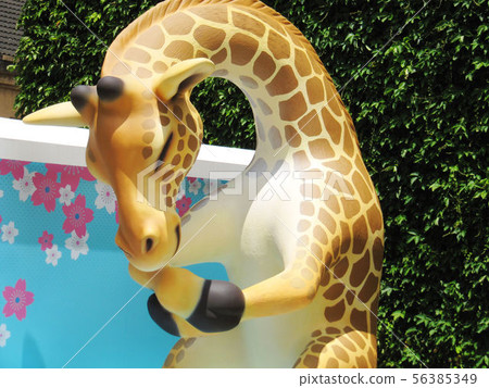 台北市華山文化創意園區 56385349