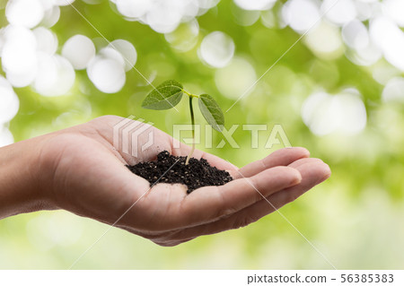 Eco image with hands Eco image with hands 56385383