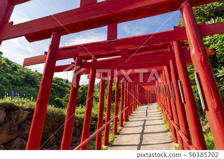 [Yamaguchi] Motonosumi Shrine 56385702