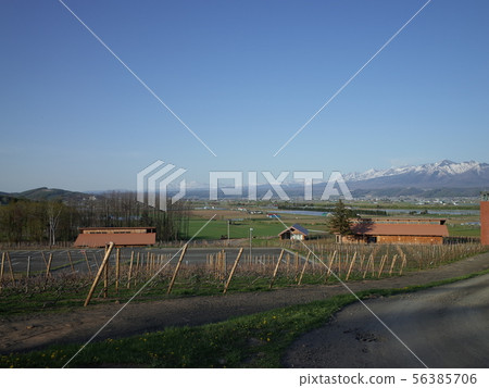 Daisetsuzan和vineyards_furano 56385706