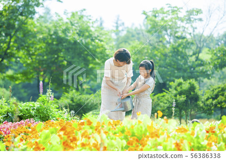 父母和孩子園藝 56386338