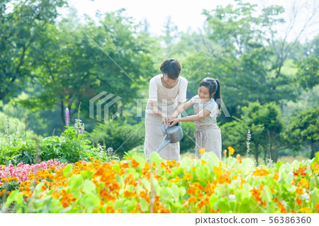 Parent and child gardening 56386360