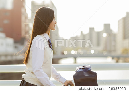 schoolgirl schoolgirl 56387023