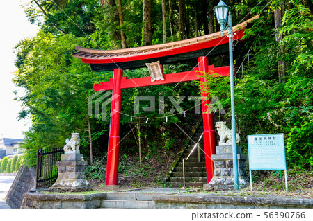 Narashi-mura, Yamanashi Devil Tenjin-sha Torii and guardian dog Narashi-mura, Yamanashi Devil Tenjin-sha Torii and guardian dog 56390766