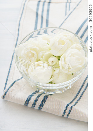 White mini-roses White mini-roses 56393996