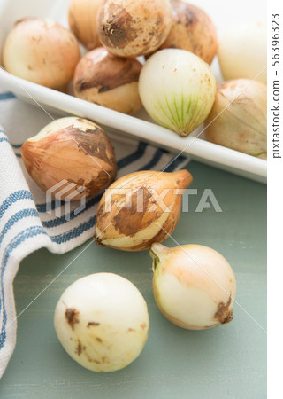 Pecorus (small onion) 56396323