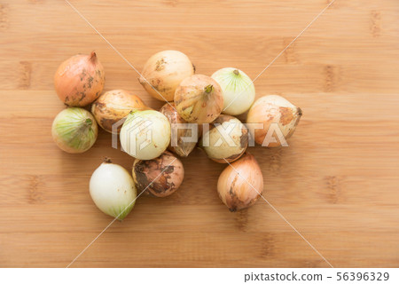 Pecorus（小洋蔥） 56396329