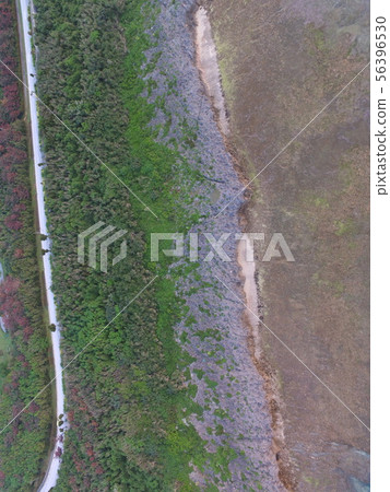 海岸無人機鳥瞰圖（在和平創造森林公園/ Itoman-shi，沖繩縣山形附近） 56396530