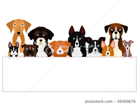 小組與委員會的狗 56400676