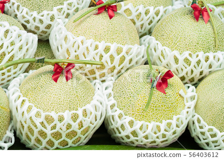 Fresh melons or green melons or cantaloupe melons Fresh melons or green melons or cantaloupe melons 56403612