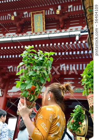 Asakusa Hozuki City Asakusa Hozuki City 56404109