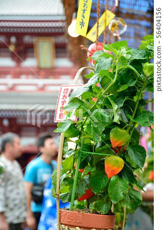 Asakusa Hozuki City Asakusa Hozuki City 56404156