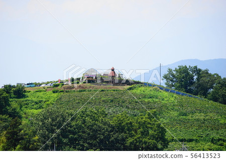 August Koshu 46 Katsunuma Tourist Farm Buddha Garden August Koshu 46 Katsunuma Tourist Farm Buddha Garden 56413523