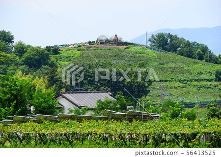 August Koshu 45 Katsunuma Tourist Farm Buddha Garden August Koshu 45 Katsunuma Tourist Farm Buddha Garden 56413525