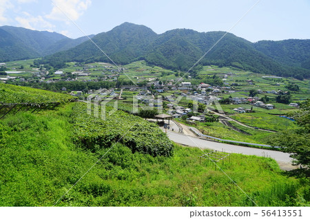 August Koshu 26 Katsunuma Grape Station and Buddha Garden 56413551