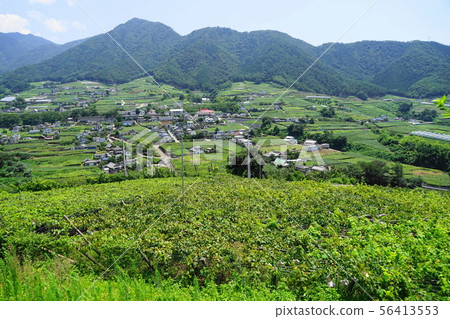 八月Koshu 25 Katsunuma葡萄站和佛園 56413553