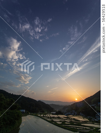 Chihayaakasaka Village Sunset view of rice terraces in Shimoakasaka Chihayaakasaka Village Sunset view of rice terraces in Shimoakasaka 56429518