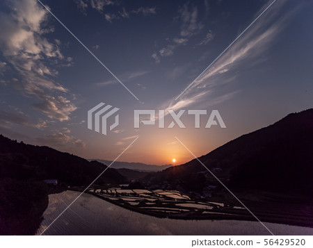Chihayaakasaka Village Sunset view of rice terraces in Shimoakasaka Chihayaakasaka Village Sunset view of rice terraces in Shimoakasaka 56429520