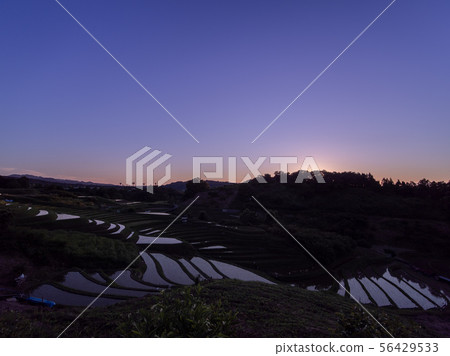 Chihayaakasaka Village Sunset view of rice terraces in Shimoakasaka Chihayaakasaka Village Sunset view of rice terraces in Shimoakasaka 56429533