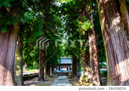 山梨縣河口湖鎮川口森根神社 山梨縣河口湖鎮川口森根神社 56430059