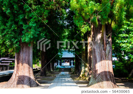 山梨縣河口湖鎮川口森根神社 56430065
