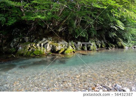 櫪木縣的木谷 56432387