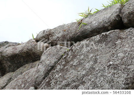 Peru Machu Picchu lizard 56433108