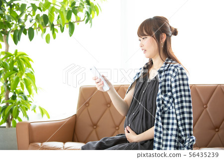 母道 56435239