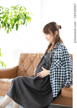 Maternity 56436067