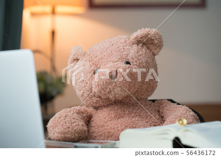 律師熊圖像素材 律師熊圖像素材 56436172