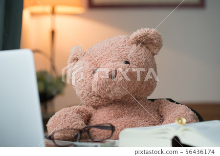 律師熊圖像素材 56436174