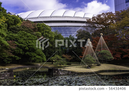 (Tokyo) Koishikawa Korakuen Autumn leaves 56438406