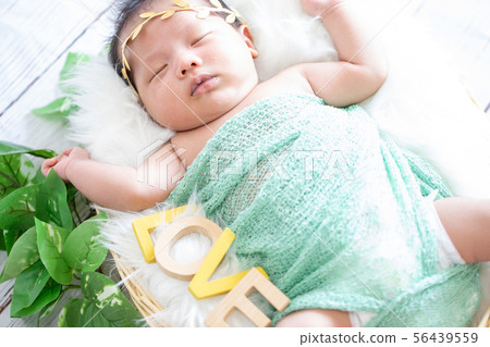 Newborn Photo 56439559