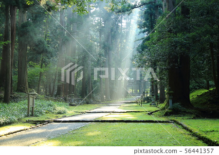 Hiraizumi Hakusan Shrine [Hiraizumi-cho, Katsuyama, Fukui Prefecture] 56441357