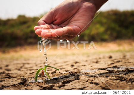 Hand watering the ground barren Hand watering the ground barren 56442001
